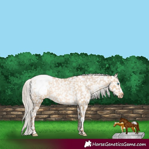Horse Color:White Spotted Chocolate Palomino Pearl Dun Snowflake Varnish