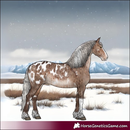 Horse Color:White Spotted Silver Bay Dun Splash Tobiano Appaloosa Rabicano Brindle 