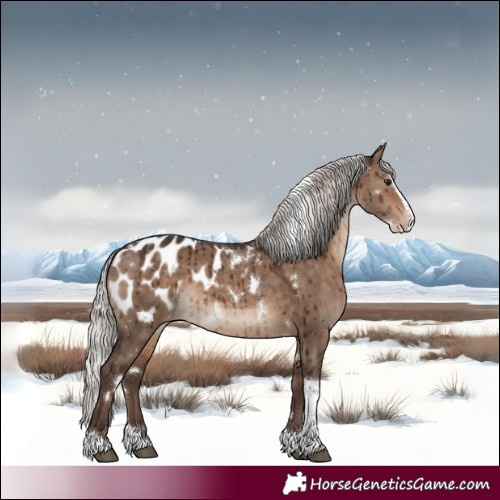 Horse Color:White Spotted Silver Bay Dun Splash Tobiano Blanket Rabicano Brindle 