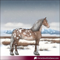 Horse Color:White Spotted Silver Bay Dun Splash Tobiano Appaloosa Rabicano Brindle