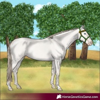 Horse Color:Smoky Creme Roan Dun