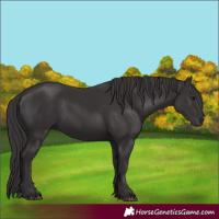 Horse Color:Smoky Black  and Smoky Black 