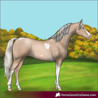 Horse Color:Chocolate Palomino Pearl Tobiano Frame  and Chocolate Palomino Pearl Splash Tobiano Frame 