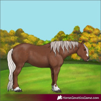 Horse Color:Silver Black 