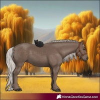Horse Color:Silver Black 