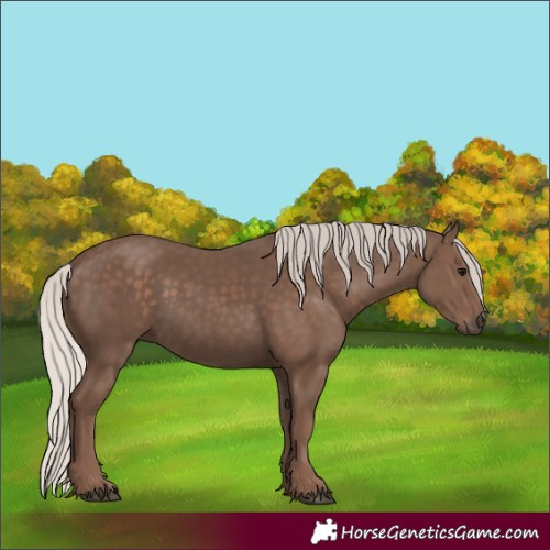 Horse Color:Silver Black 