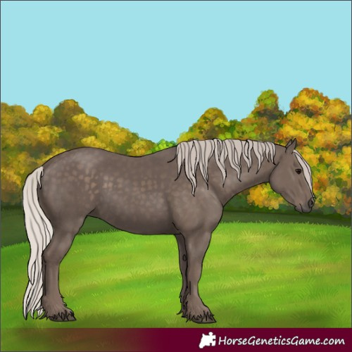 Horse Color:Silver Black 