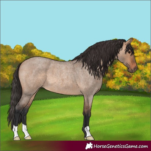 Horse Color:Unknown 