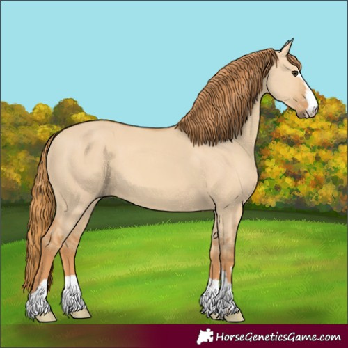Horse Color:Unknown 