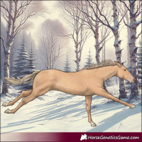 Horse Color:Gold Champagne 