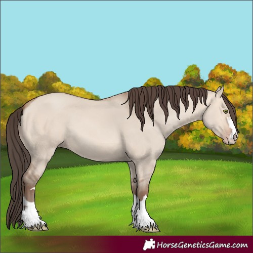 Horse Color:Amber Champagne Dun 