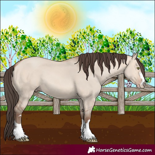 Horse Color:Amber Champagne Dun 