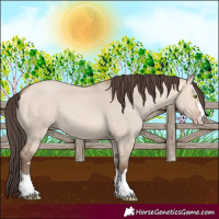 Horse Color:Amber Champagne Dun 