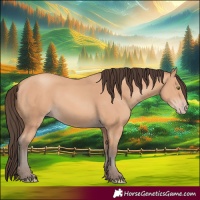 Horse Color:Amber Champagne Rabicano 