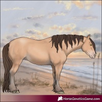 Horse Color:Amber Champagne Rabicano 