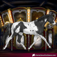 Horse Color:Black Tobiano Frame 