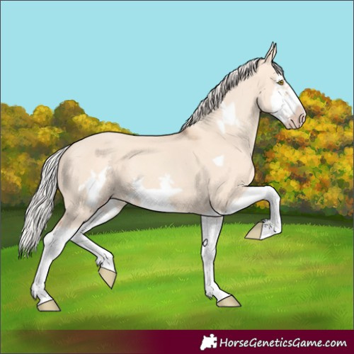 Horse Color:Silver Classic Champagne Dun Splash Frame 