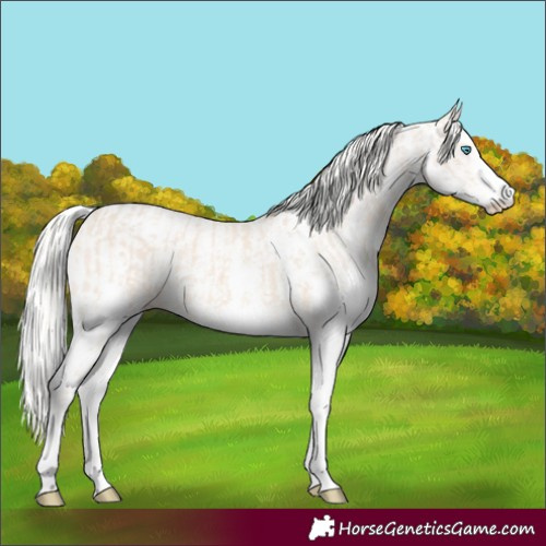 Horse Color:Cremello Sabino  and Cremello Sabino 