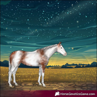 Horse Color:White Spotted Silver Bay Splash 