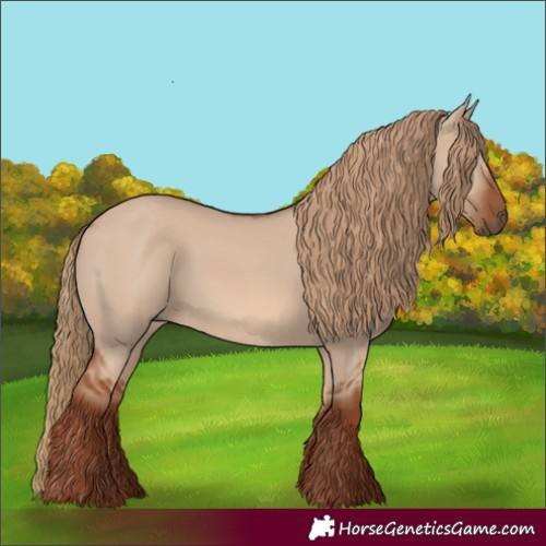Horse Color:Red Dun Rabicano