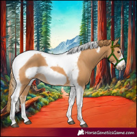 Horse Color:Chestnut Tobiano Frame