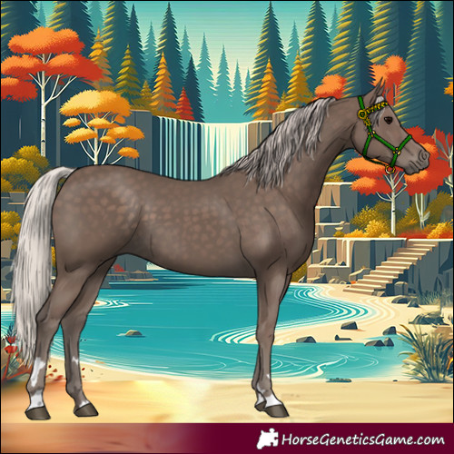 Horse Color:Silver Black