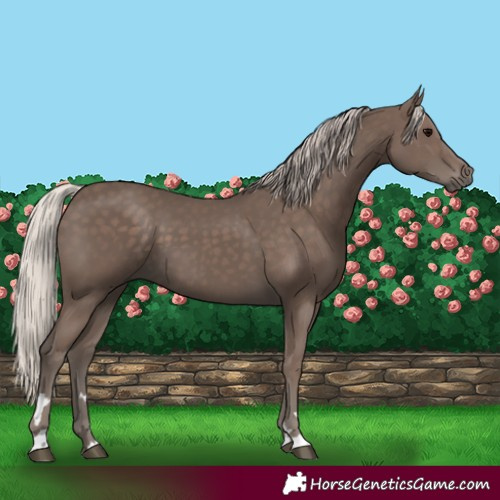 Horse Color:Silver Black 