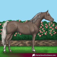 Horse Color:Silver Black 