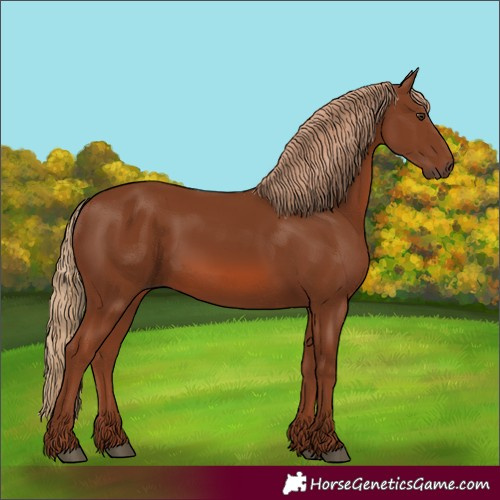 Horse Color:Unknown 