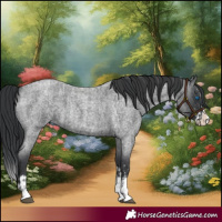 Horse Color:Blue Roan Sabino Splash and Blue Roan Sabino Splash