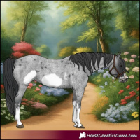 Horse Color:Blue Roan Sabino Splash Frame and Blue Roan Sabino Splash Frame
