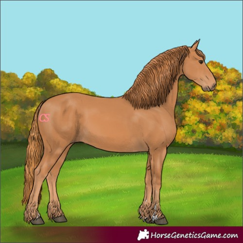 Horse Color:Chestnut 
