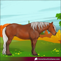 Horse Color:Silver Bay 