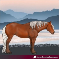 Horse Color:Silver Bay