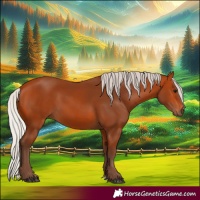 Horse Color:Silver Bay 