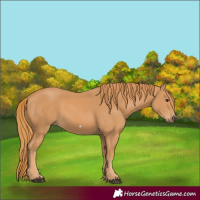 Horse Color:Chestnut Frame