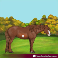 Horse Color:Chestnut Frame