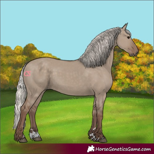 Horse Color:Silver Grullo 