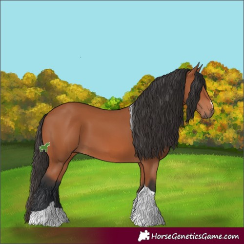 Horse Color:Bay Tobiano 