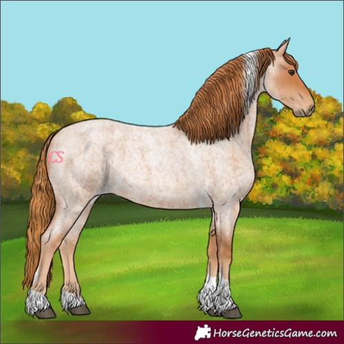 Horse Color:Red Roan Tobiano 