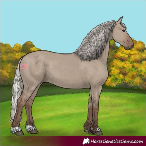 Horse Color:Silver Grullo 