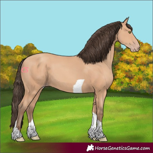 Horse Color:Amber Champagne Tobiano 
