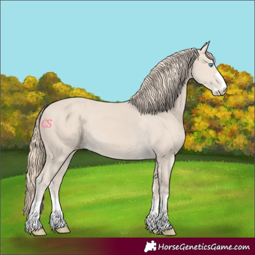 Horse Color:Smoky Creme 