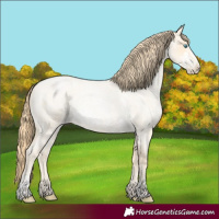 Horse Color:Buckskin Roan Pearl and Buckskin Roan Pearl Frame