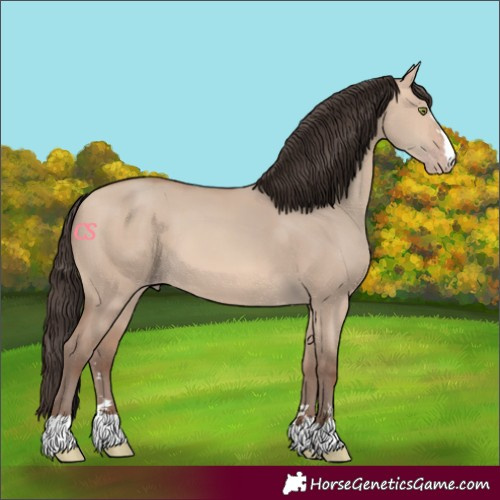 Horse Color:Amber Champagne Dun