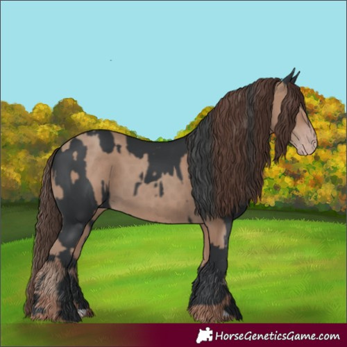 Horse Color:Black  and Classic Champagne 