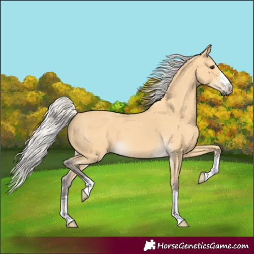 Horse Color:Silver Buckskin