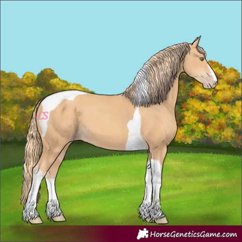 Horse Color:Gold Champagne Tobiano 