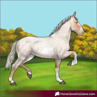 Horse Color:Silver Blue Roan Pearl Tobiano Frame
