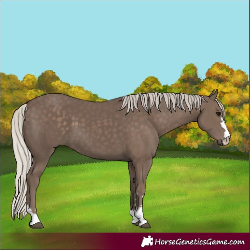 Horse Color:Silver Black 